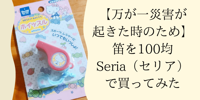 笛をセリアで買ってみた